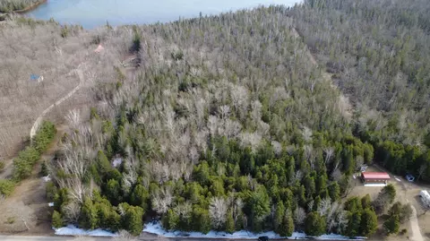 Beckon Road, Pellston, MI 49769 photo 3