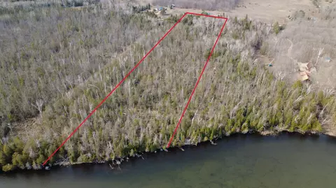 Beckon Road, Pellston, MI 49769 photo 2