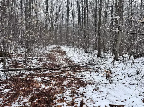 8751 Nighthawk Trail Gaylord Mi 49735 Trl, Gaylord, MI 49735