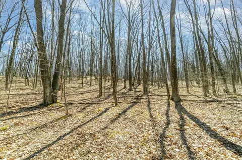 Nancy Ann Drive, Gladwin, MI 48624 photo 6