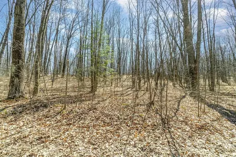 Nancy Ann Drive, Gladwin, MI 48624 photo 7