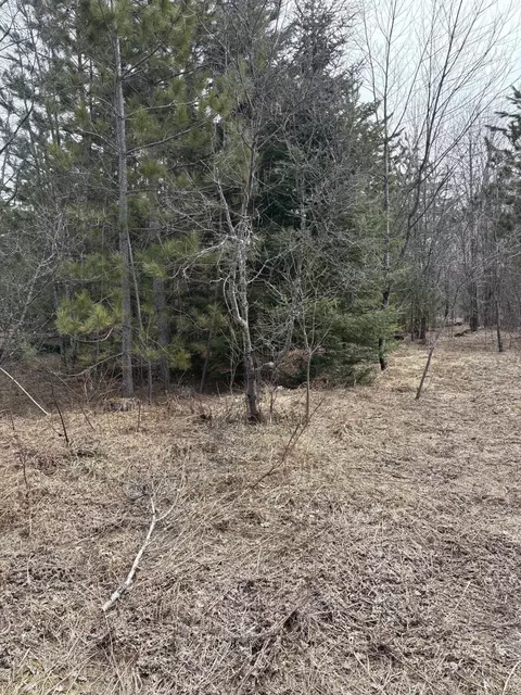 000 Nowak Rd, Vanderbilt, MI 49795