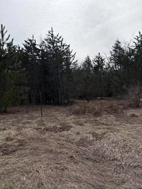 000 Nowak Rd, Vanderbilt, MI 49795 photo 4