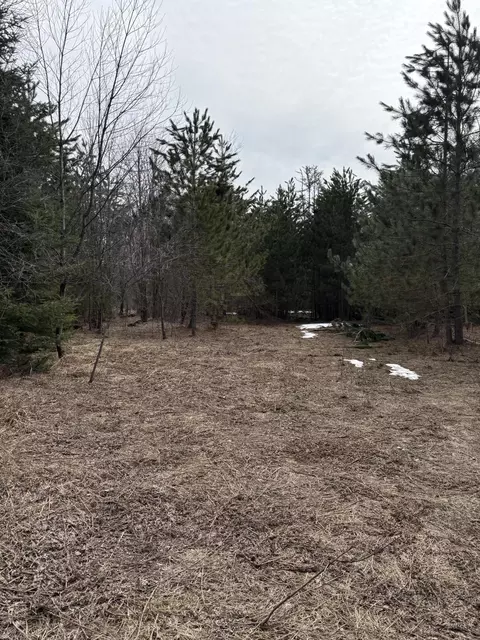 000 Nowak Rd, Vanderbilt, MI 49795 photo 3