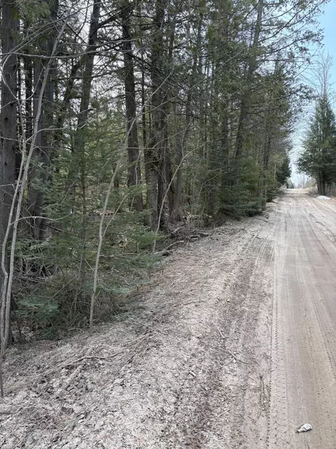 000 Nowak Rd, Vanderbilt, MI 49795 photo 7