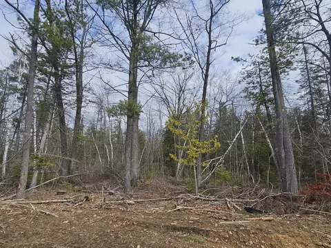 Lake Winyah Road, Alpena, MI 49707