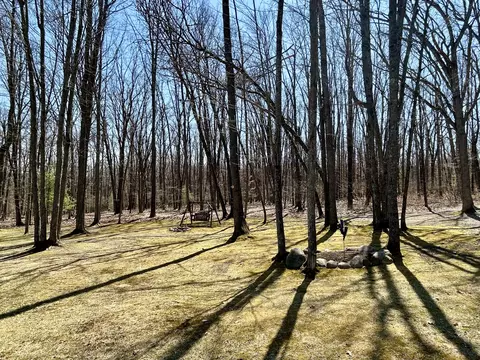 7752 Huron Forest Rd, Roscommon, MI 48653 photo 29