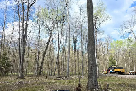 4381 Woodmansee Road 10 Ac - Cheboygan Mi 49721 Rd #10 AC +/-, Cheboygan, MI 49721