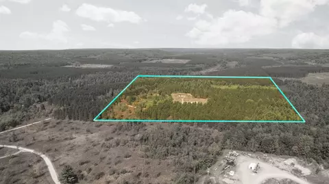 Lynn Lake Road, Frederic, MI 49733