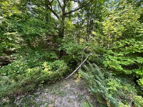 NHN Renwick Circle #S 152 & 153, Presque Isle, MI 49777