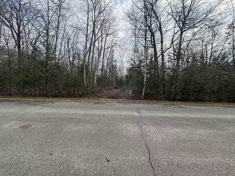 16393 Bay Heights Drive Presque Isle Mi 49777 Dr, Presque Isle, MI 49777