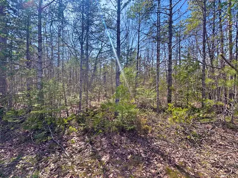 lot375 Kauffman Rd, Presque Isle, MI 49777