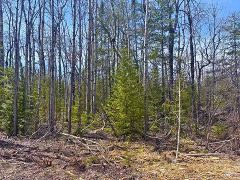 lot312 Pineview Dr, Presque Isle, MI 49777