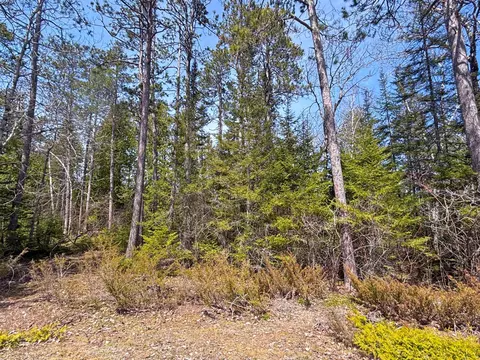 lot47 Firhaven Ct, Presque Isle, MI 49777