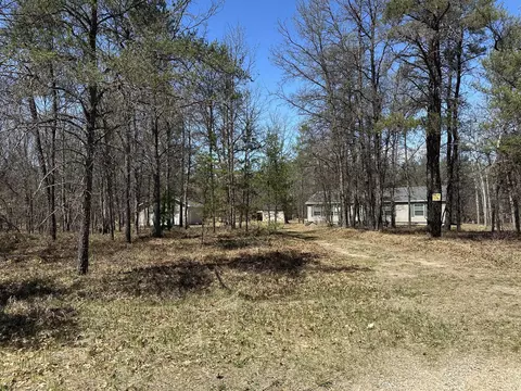 10756 E Cal Murray Trl, Roscommon, MI 48653 photo 29