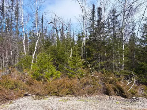 lot S 48-49 Sylvan Ct #LOT S 48 & 49, Presque Isle, MI 49777