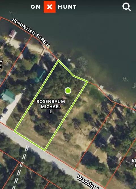 1559 Warbler Ln, Mio, MI 48647 photo 23