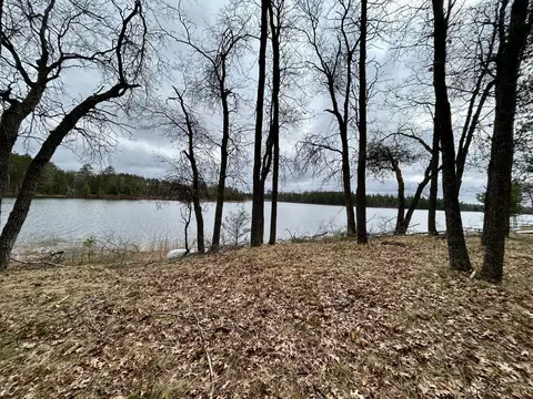 1559 Warbler Ln, Mio, MI 48647 photo 11