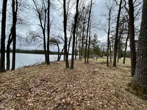1559 Warbler Ln, Mio, MI 48647 photo 10