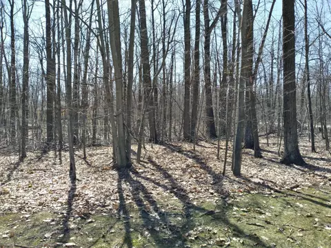 lot65 Louise Cir, Elmira, MI 49730