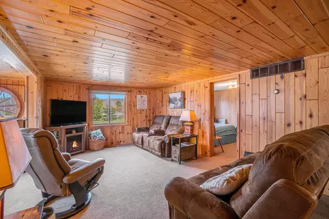 267 W Thumb Lake Rd, Vanderbilt, MI 49795 photo 8