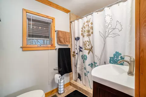 267 W Thumb Lake Rd, Vanderbilt, MI 49795 photo 16