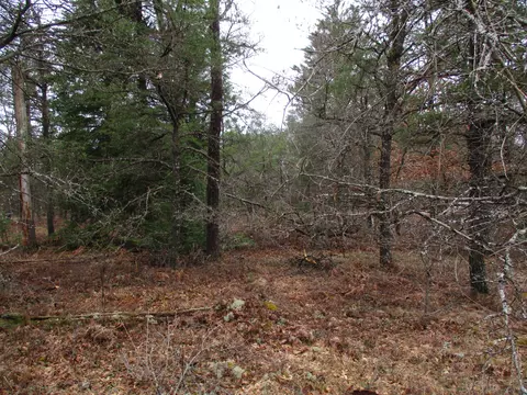 1604 Valhalla #2.5 ACRES, Grayling, MI 49738 photo 4