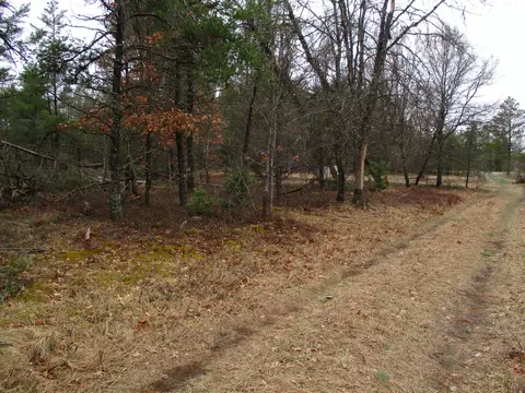 1604 Valhalla #2.5 ACRES, Grayling, MI 49738 photo 6