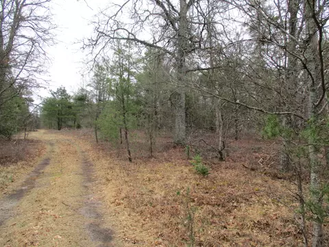 1604 Valhalla #2.5 ACRES, Grayling, MI 49738 photo 7