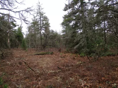 1604 Valhalla #2.5 ACRES, Grayling, MI 49738