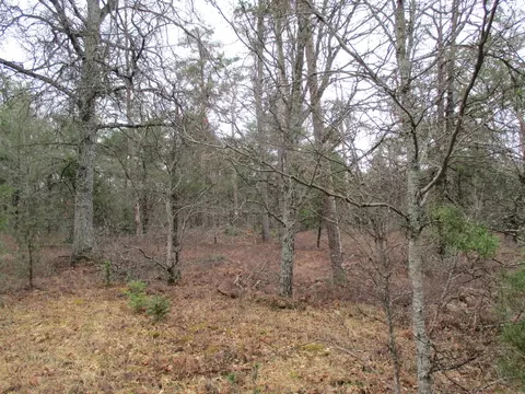 1604 Valhalla #2.5 ACRES, Grayling, MI 49738 photo 8