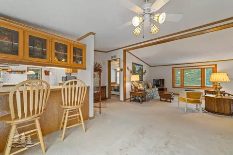 5335 Pinecrest Dr, Lewiston, MI 49756 photo 28