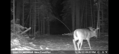 V/L Grouse Trail #17+/- ACRES, Grayling, MI 49738 photo 23