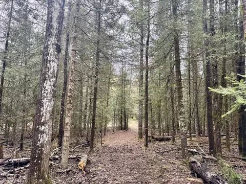 V/L Grouse Trail #17+/- ACRES, Grayling, MI 49738 photo 7