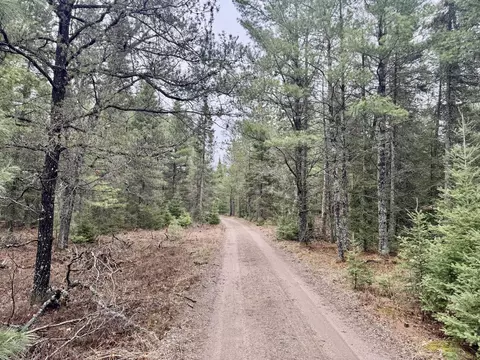 V/L Grouse Trail #17+/- ACRES, Grayling, MI 49738 photo 6