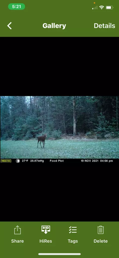 V/L Grouse Trail #17+/- ACRES, Grayling, MI 49738 photo 22