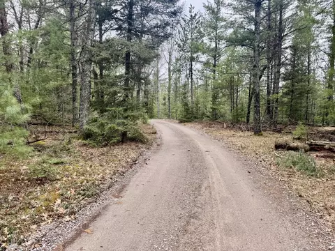 V/L Grouse Trail #17+/- ACRES, Grayling, MI 49738 photo 9
