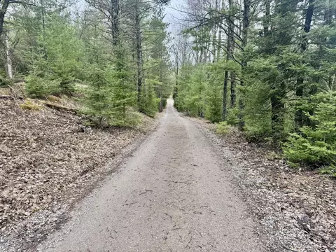 V/L Grouse Trail #17+/- ACRES, Grayling, MI 49738 photo 11