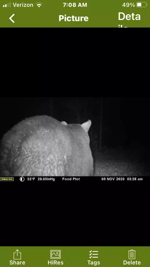 V/L Grouse Trail #17+/- ACRES, Grayling, MI 49738 photo 20