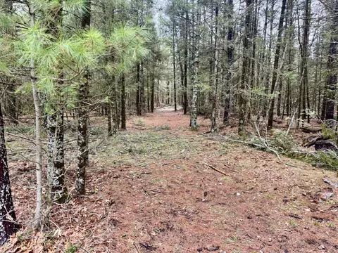 V/L Grouse Trail #17+/- ACRES, Grayling, MI 49738 photo 8