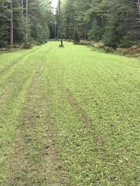 V/L Grouse Trail #17+/- ACRES, Grayling, MI 49738 photo 5