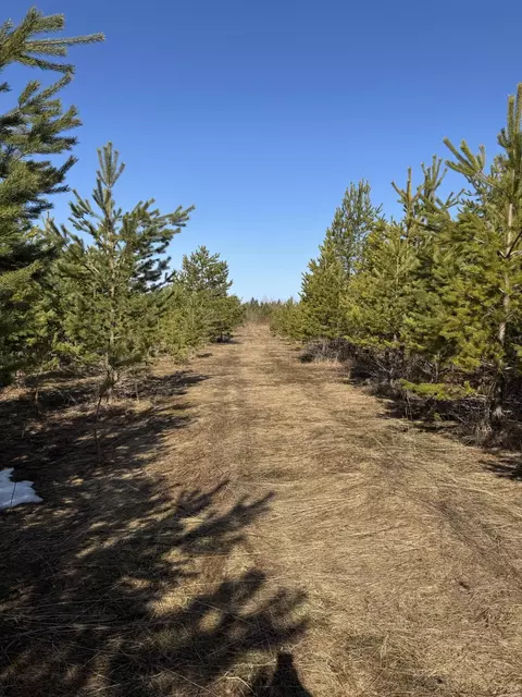 54 S 4 Acres S Mackinac Trl, Sault Ste Marie, MI 49783