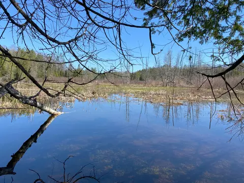 lot22 Spikehorn Trl, Indian River, MI 49749