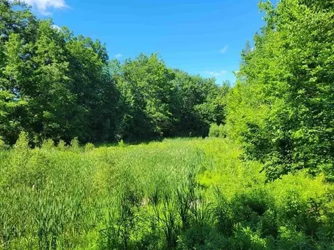 470 White Rd, Gladwin, MI 48624 photo 6