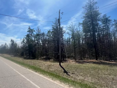 Wilcox Bridge Road, Grayling, MI 49738 photo 4