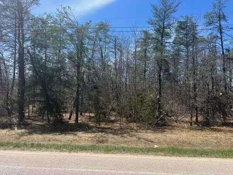 Wilcox Bridge Road, Grayling, MI 49738