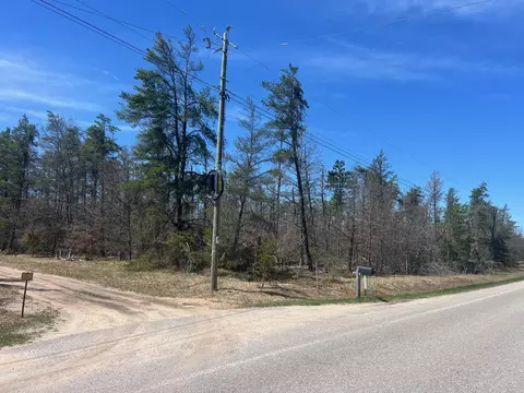 Wilcox Bridge Road, Grayling, MI 49738 photo 3