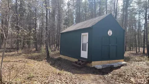 NNN Blue Springs Road #5 ACRES, Falmouth, MI 49632