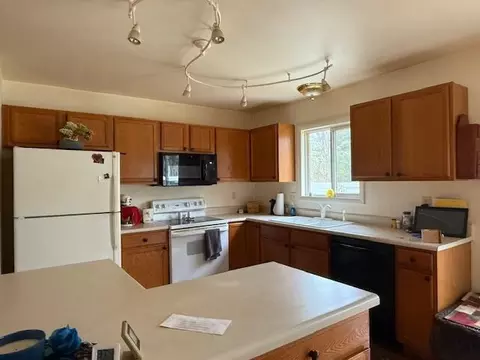 206 Great Oak Dr, Roscommon, MI 48653 photo 4