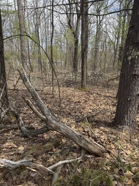 lot4 Birch St, Lewiston, MI 49756